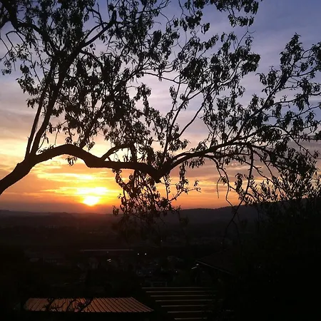 Florivana Boutique Hotel